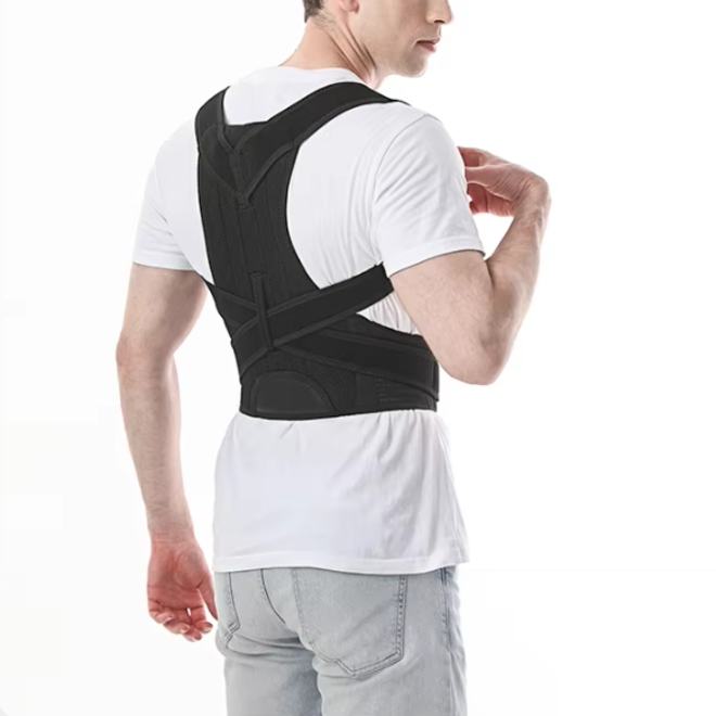 Adjustable Adult Waist Trainer Belt with Back Support
